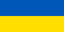 AFU flag